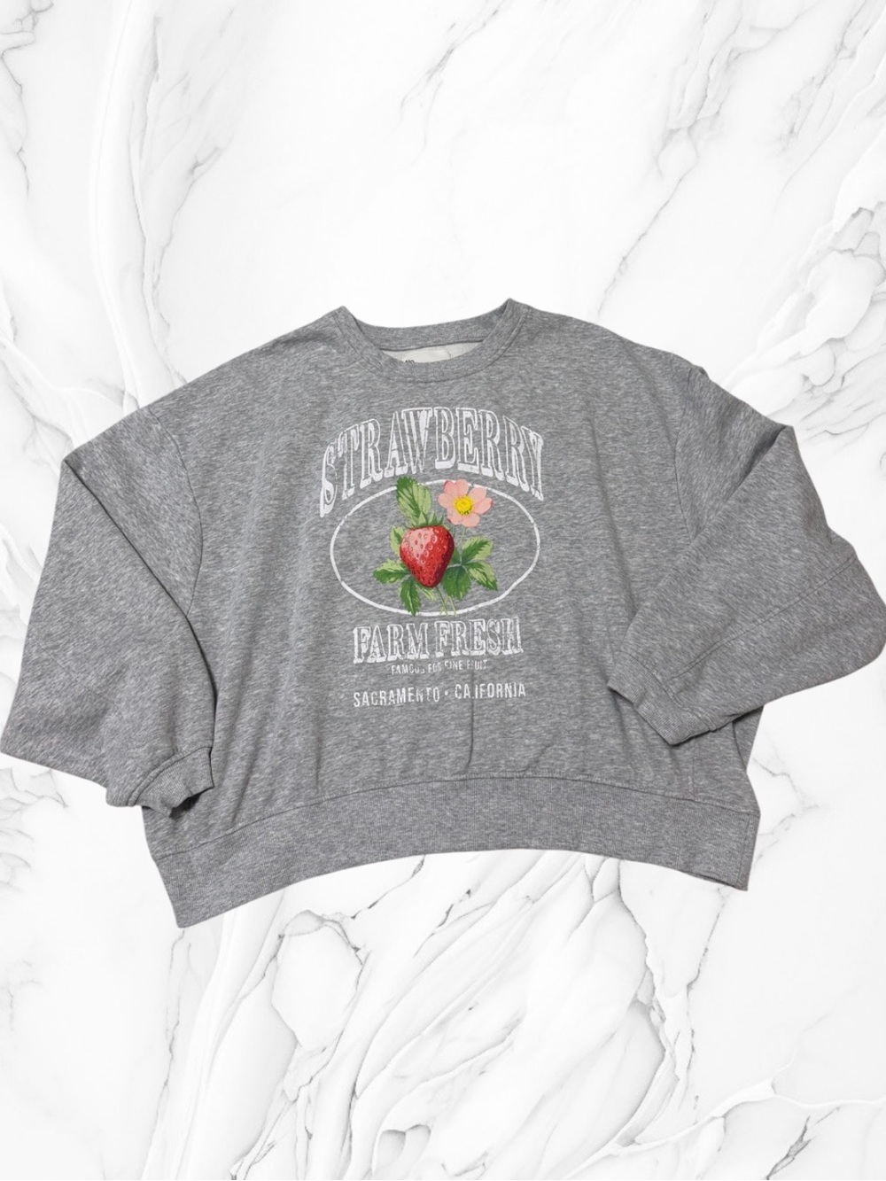 No Boundaries Gray Strawberry farm fresh Graphic Crewneck Sweatshirt XXL